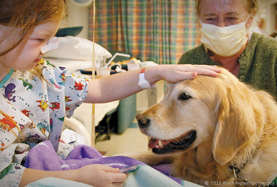 Aksa Centrum Kształcenia Ustawicznego | Autoryzowane Centrum Egzaminacyjne Certiport | Szkolenia Online