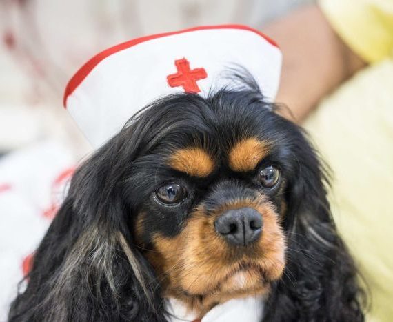 Aksa Centrum Kształcenia Ustawicznego | Autoryzowane Centrum Egzaminacyjne Certiport | Szkolenia Online