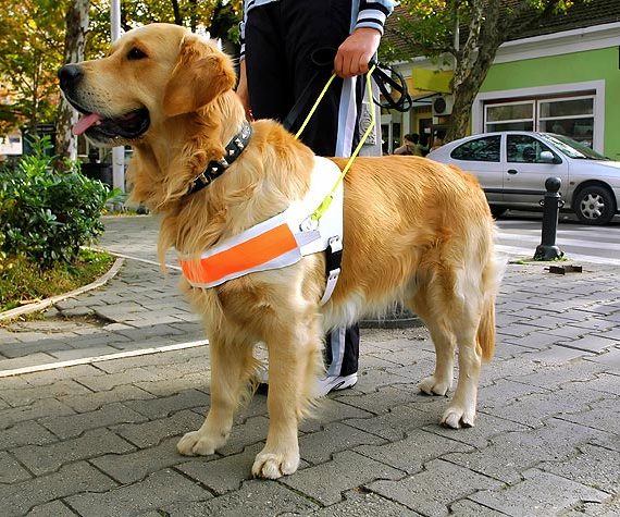 Aksa Centrum Kształcenia Ustawicznego | Autoryzowane Centrum Egzaminacyjne Certiport | Szkolenia Online