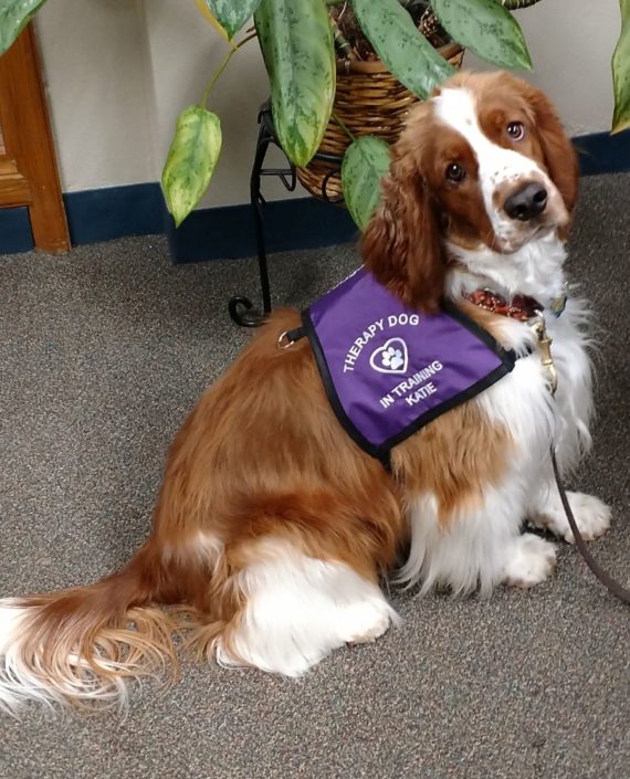 Aksa Centrum Kształcenia Ustawicznego | Autoryzowane Centrum Egzaminacyjne Certiport | Szkolenia Online