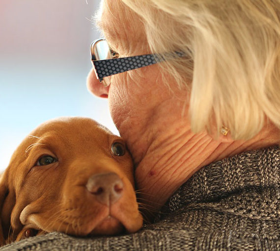 Aksa Centrum Kształcenia Ustawicznego | Autoryzowane Centrum Egzaminacyjne Certiport | Szkolenia Online