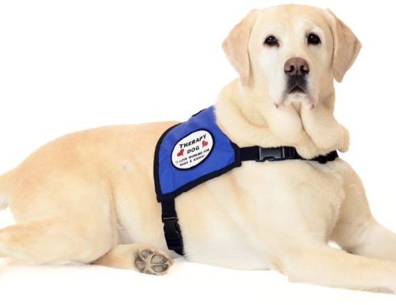 Aksa Centrum Kształcenia Ustawicznego | Autoryzowane Centrum Egzaminacyjne Certiport | Szkolenia Online